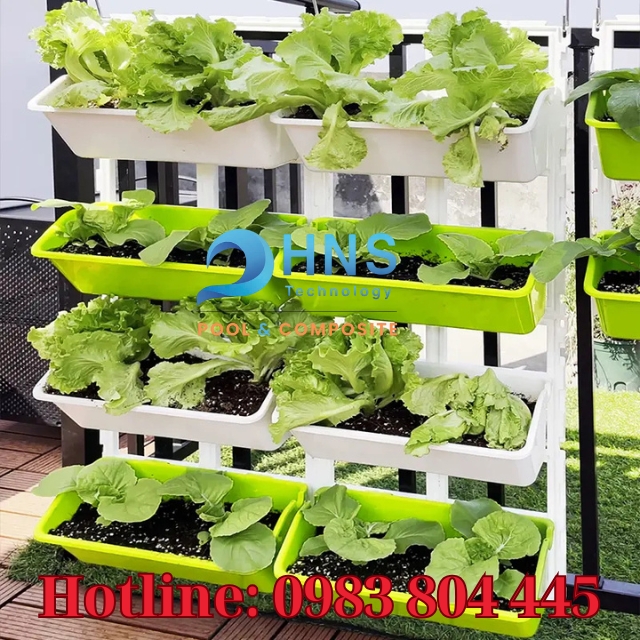 cách trồng rau với chậu composite
