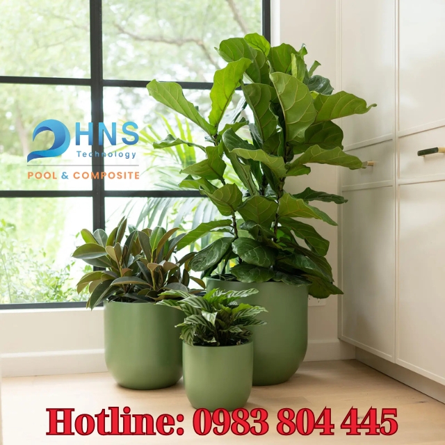 chậu cây cảnh composite phong cách hiện đại
