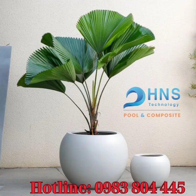 chậu cây compoiste phong cách hiện đại