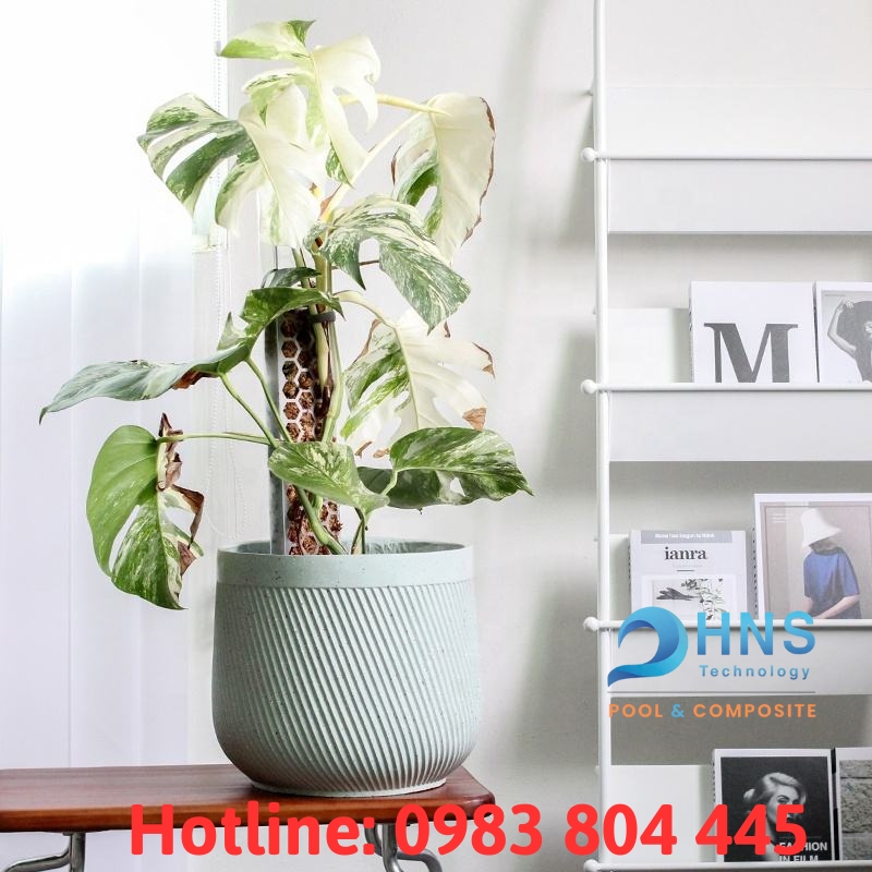chậu cây composite sợi thuỷ tinh trang trí nội thất