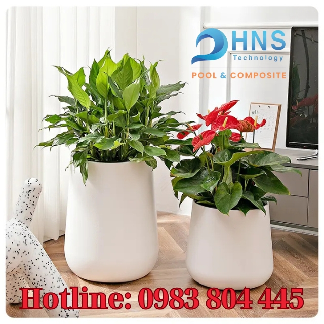 chậu cây composite trong nhà