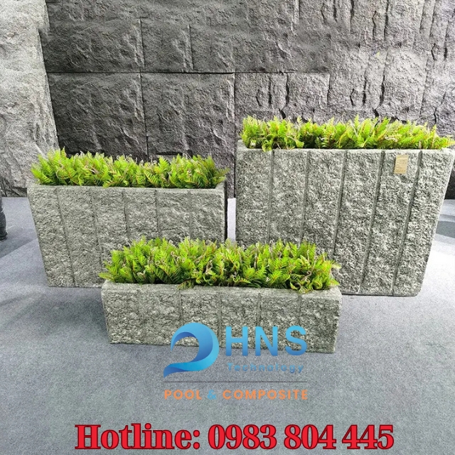 chậu cây phong thuỷ
