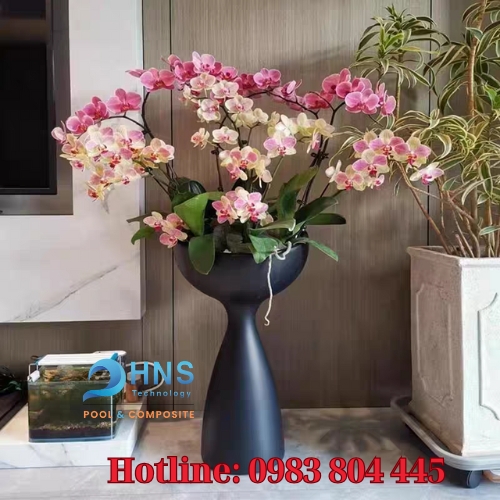 chậu cây trang trí nội thất