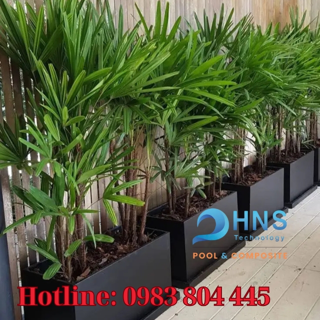 chậu composite an toàn cho cây
