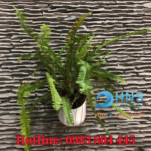 chậu composite gắn tường