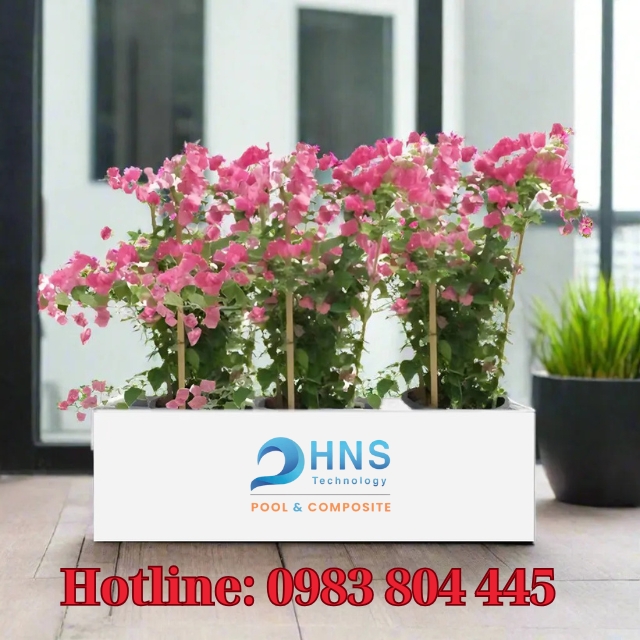 chậu composite trồng cây cảnh