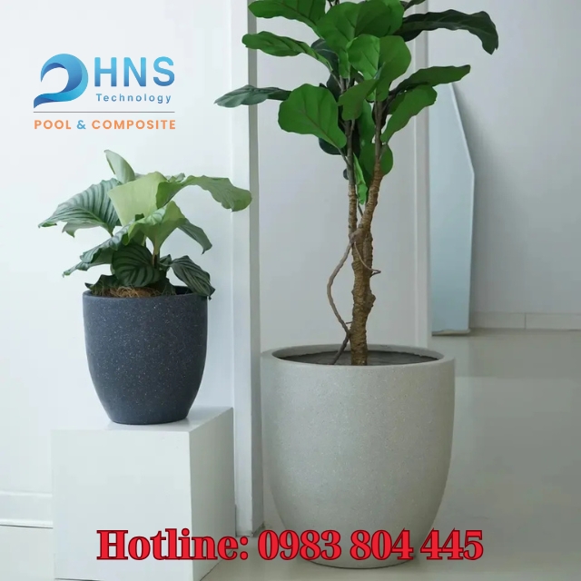 chậu composite trồng cây cảnh trong nhà