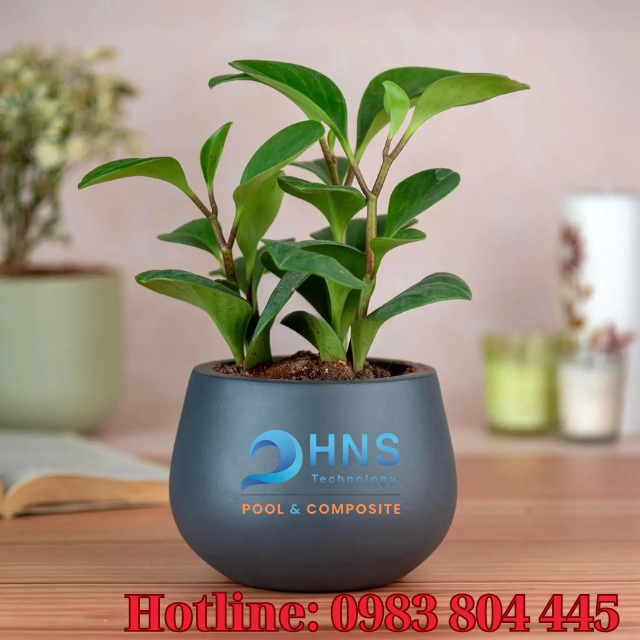 chậu composite trồng cây trang trí văn phòng