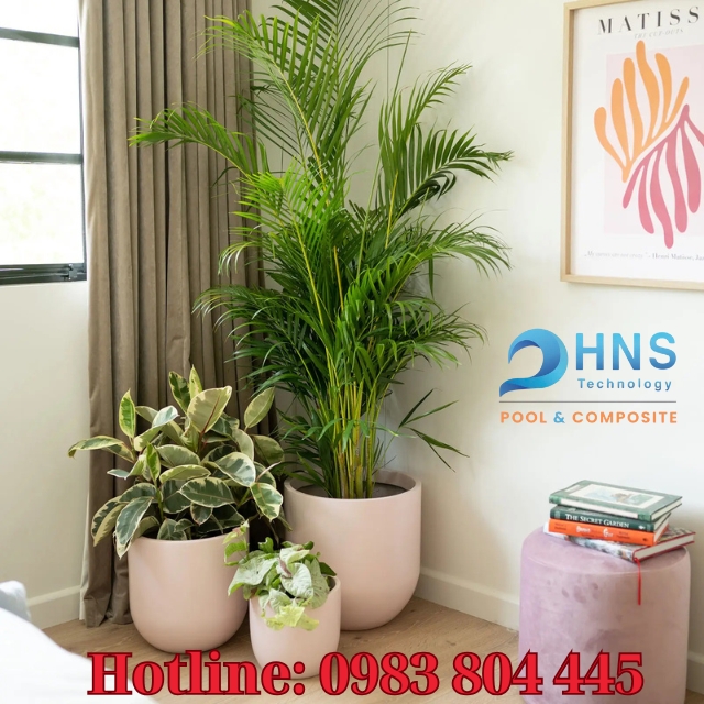 chậu composite trồng cây trong nhà