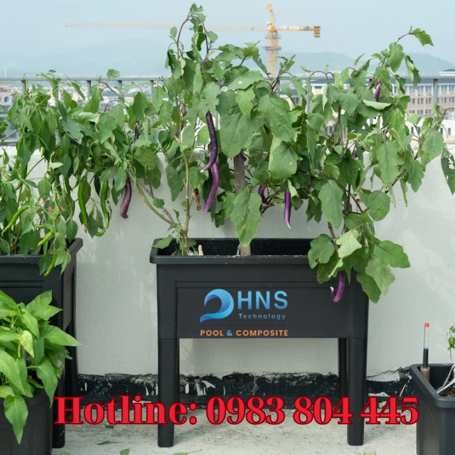 chậu composite trồng rau