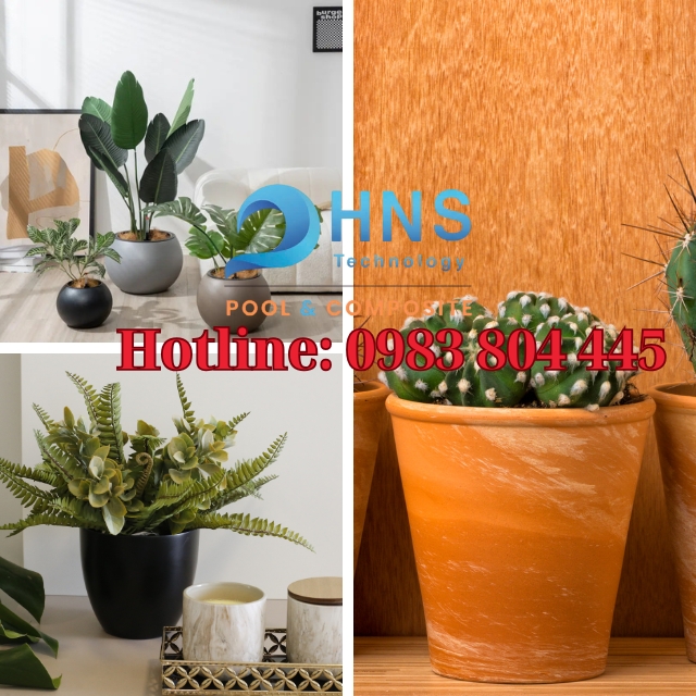 chậu composite với chậu đất nung và gốm sứ