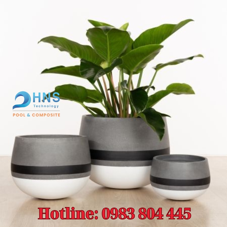 chậu hoa composite trang trí phòng khách