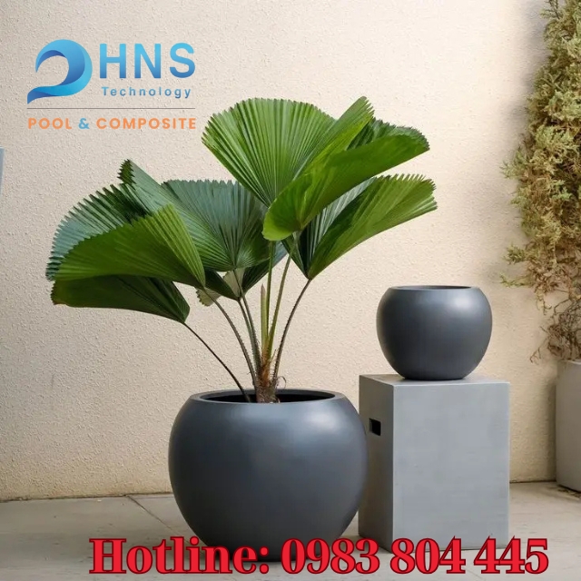 chậu trồng cây bền đẹp