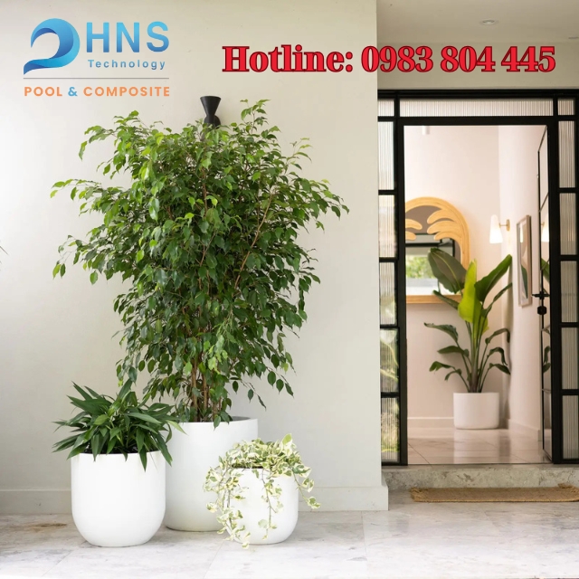 chậu trồng cây bền đẹp