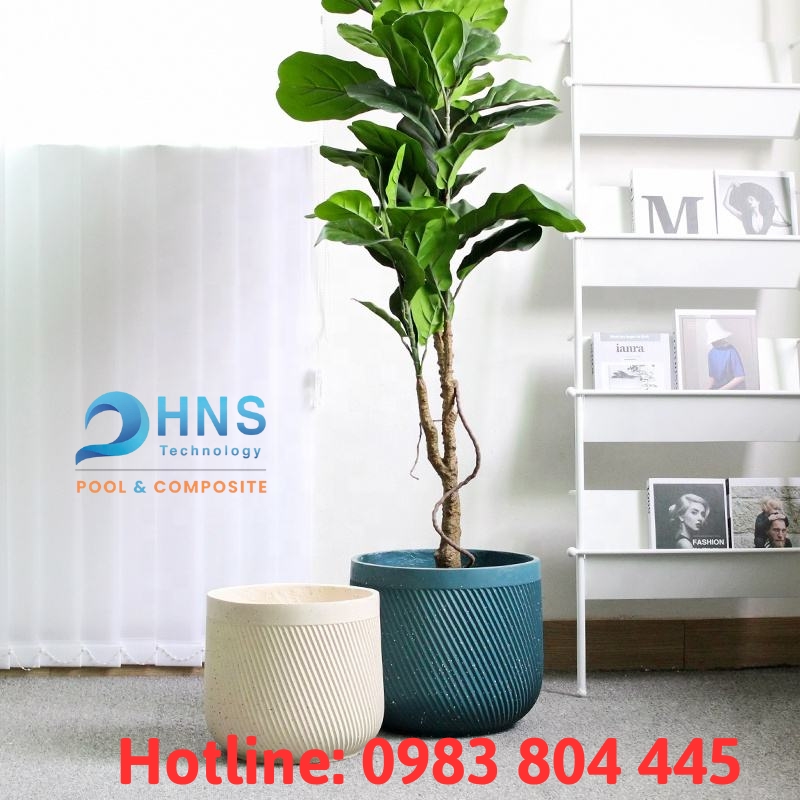 chậu trồng cây cho phòng khách