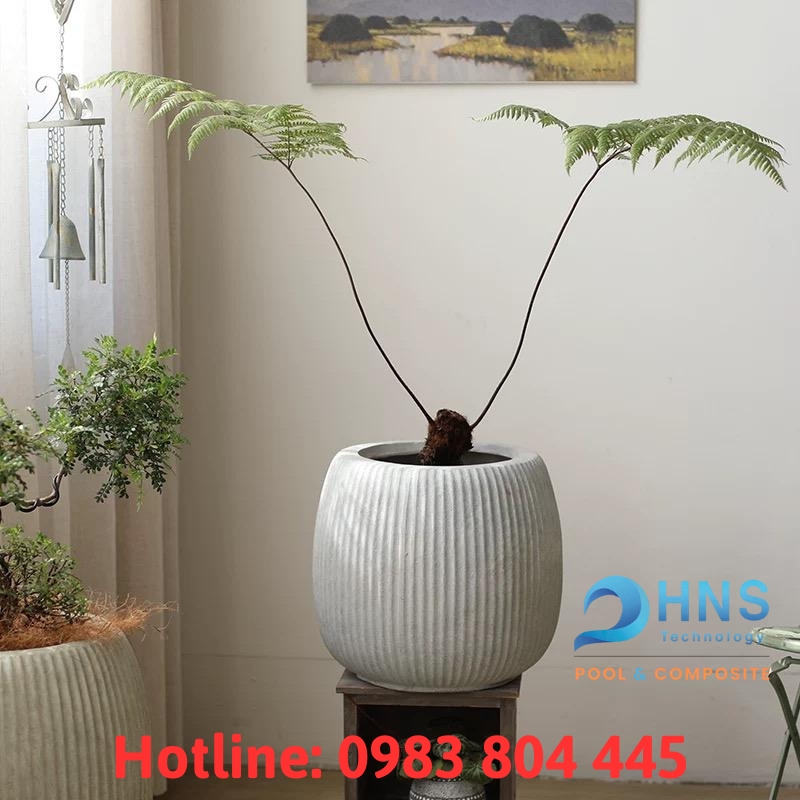 chậu trồng cây composite cao cấp