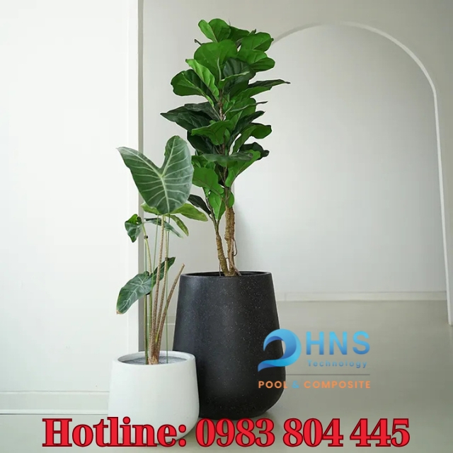 chậu trồng cây composite
