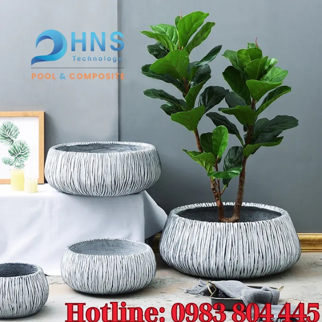 địa chỉ bán chậu trồng cây composite