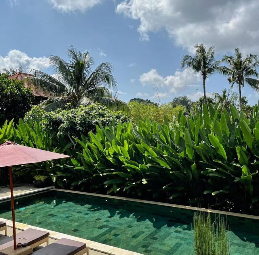 hồ bơi sân vườn đẹp