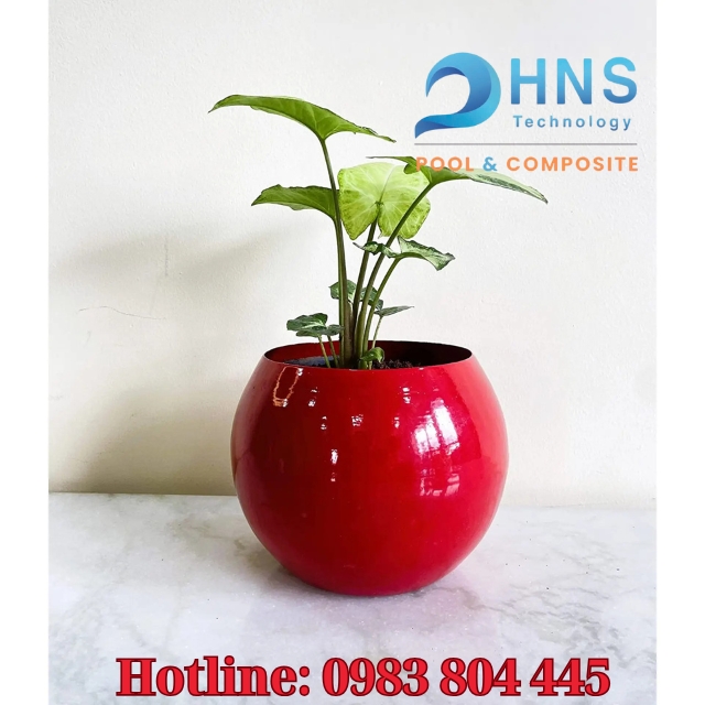 màu sắc chậu cây phong thuỷ