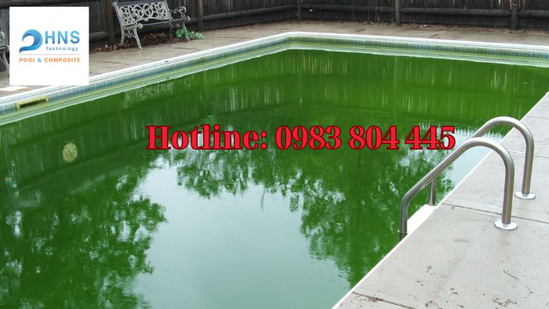 nước hồ bơi bị đục