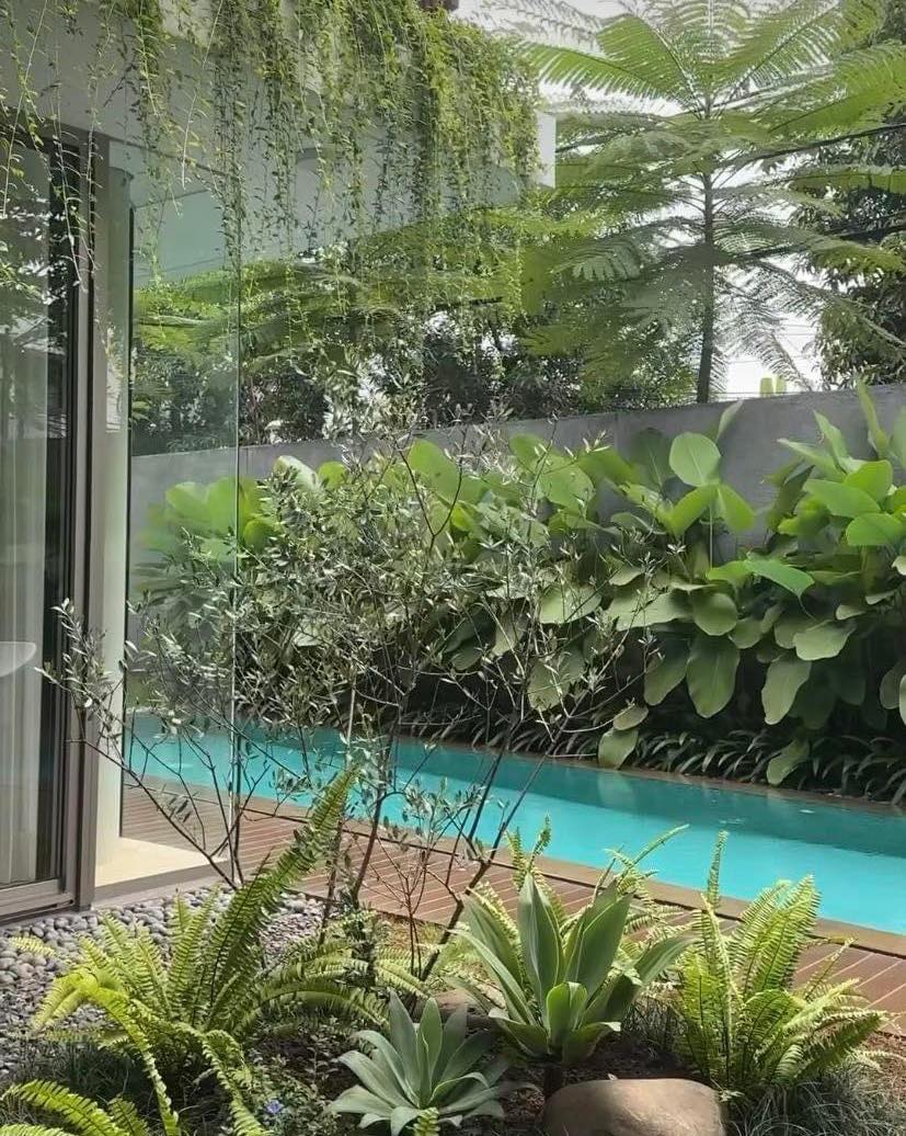 xây hồ bơi gia đình giá rẻ